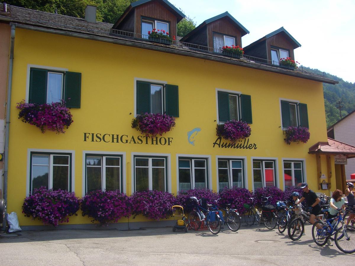 Fischgasthof Aumueller Obermuhl ภายนอก รูปภาพ