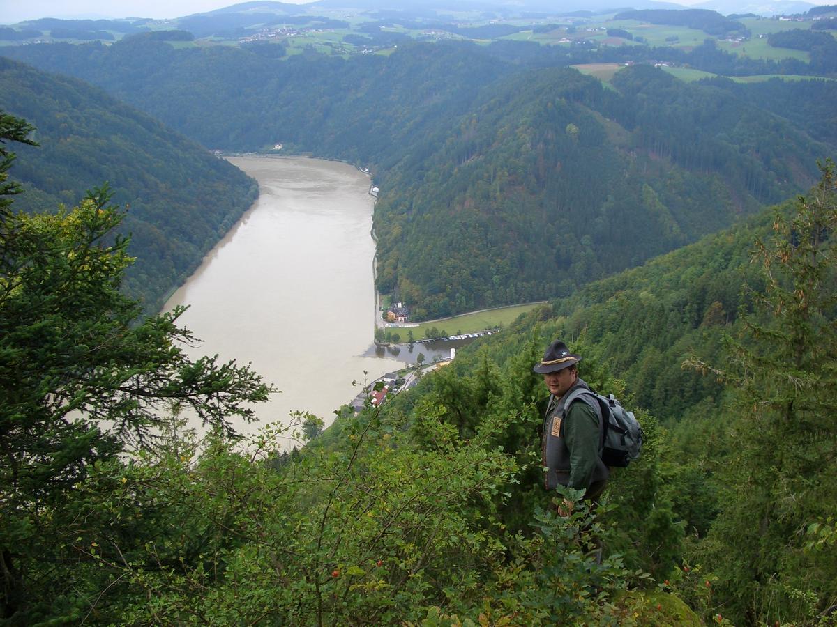 Fischgasthof Aumueller Obermuhl ภายนอก รูปภาพ